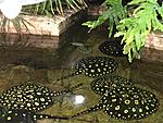 IMG 0282 2