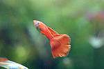 IMG 8483