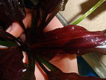 P1011141 
 