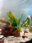 IMG 20150317 215001