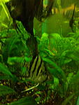 IMG 20150324 190021