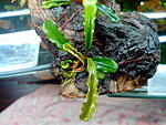 IMG 20120209 114212