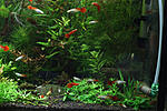 IMG 8545