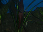 P1011290 
