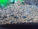IMG 20150328
