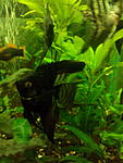 IMG 20150324 190016