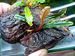 IMG 20120209 114251
