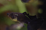 IMG 8411
