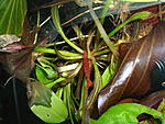 P1011436