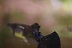 IMG 8383