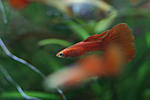 IMG 8511