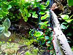 IMG 20150328 145709