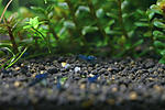IMG 8464