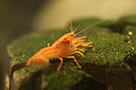 IMG 8277