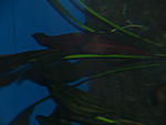 P1011287 
