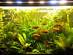DSCN0254