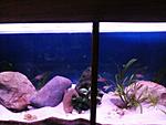 IMG 20150228 165751