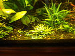 DSCN0194
