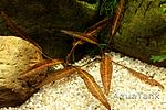 IMG 20150329 194205