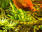DSCN0239