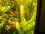 DSCN0216