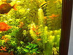 DSCN0188