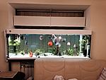 IMG 7756