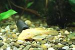 IMG 3681