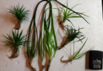 2015 04 10 04.15.05