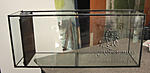 IMG 7879