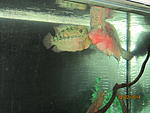 IMG 4582