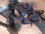 IMG 20150414 195121[1]