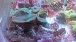 IMG 20150417 223318
