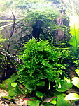 IMG 20150425 094537