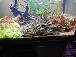 DSCN0740