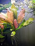 DSCN0734