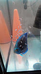 2015426155042