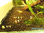 PICT3375