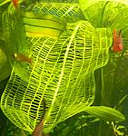 DSCN4448