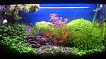 P 20150214 174228
