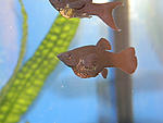 DSCN5957