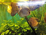 IMG 20150519 181359