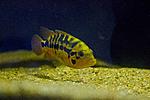 20150519 IMG 5902