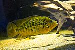20150519 IMG 5893