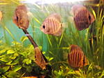 IMG 20150519 181420