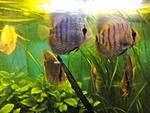 IMG 20150519 181404