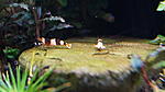 DSC01304