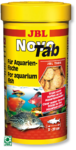 NT 