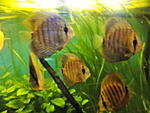 IMG 20150519 181409