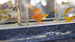 DSC09030